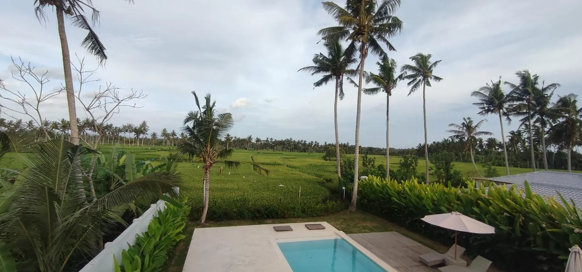 Royal Lotus Villa In Ubud
