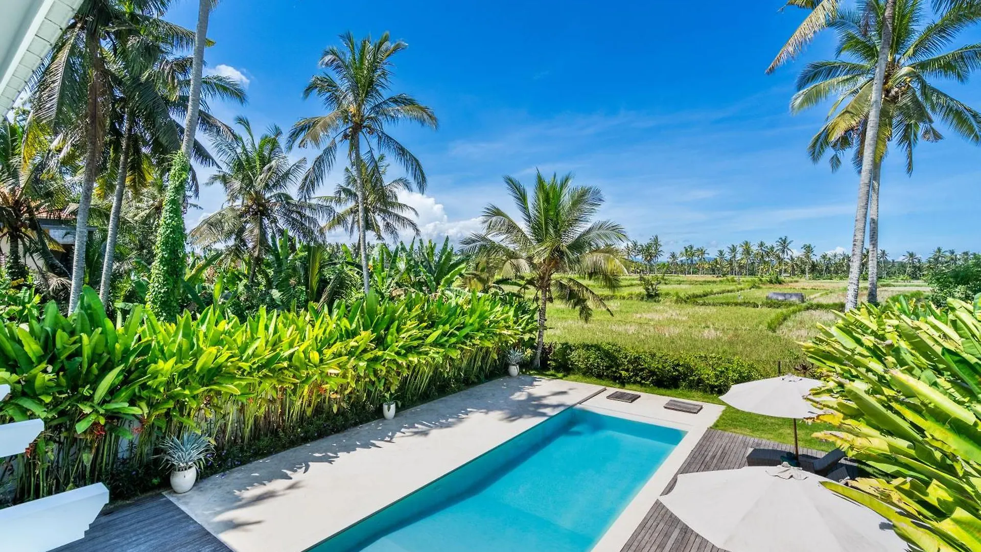 Royal Lotus Villa In Ubud Indonesia