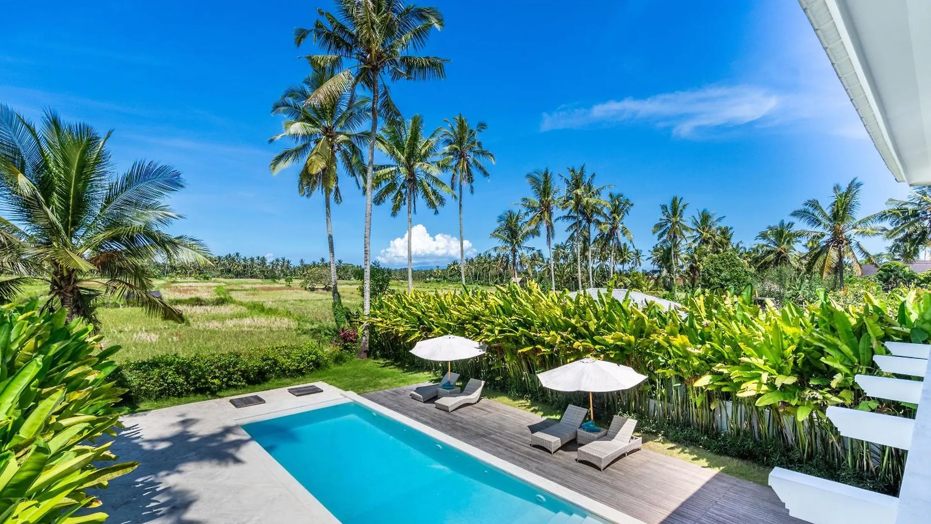 Royal Lotus Villa In Ubud